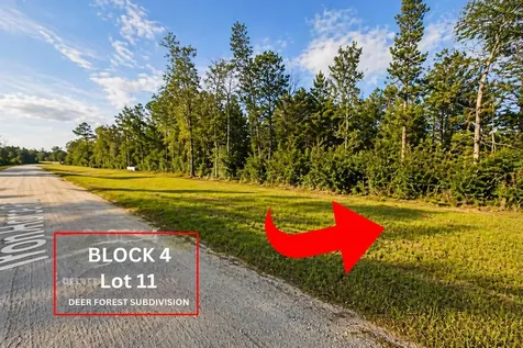 305 Iron Horse Road Willis TX 77378