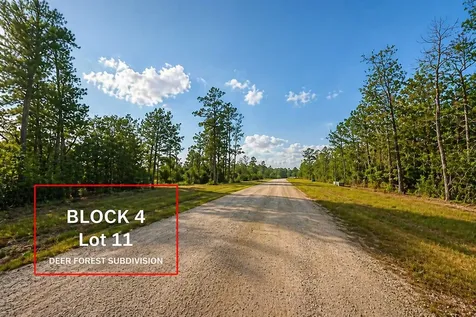 305 Iron Horse Road Willis TX 77378