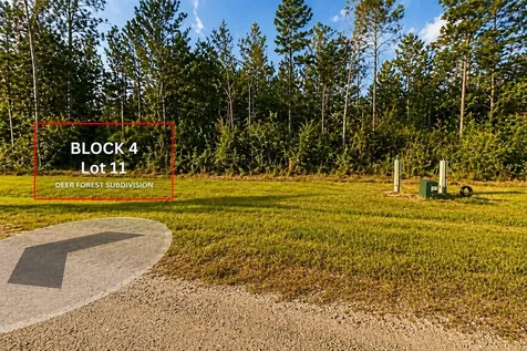 305 Iron Horse Road Willis TX 77378