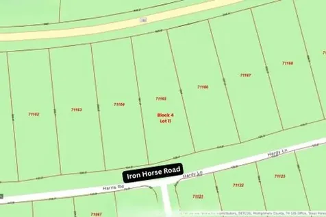 305 Iron Horse Road Willis TX 77378