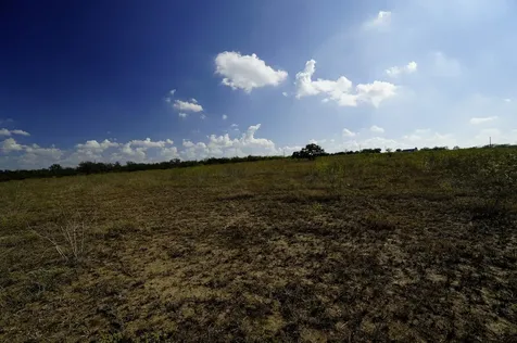 Lot 12 000 Cr 447 Waelder TX 78959