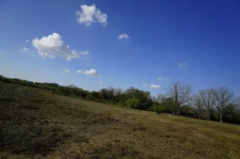 Lot 12 000 Cr 447 Waelder TX 78959