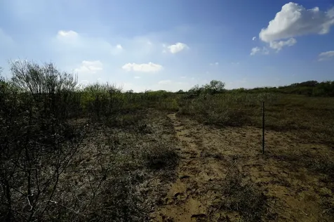 Lot 12 000 Cr 447 Waelder TX 78959