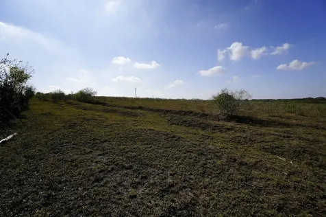 Lot 12 000 Cr 447 Waelder TX 78959