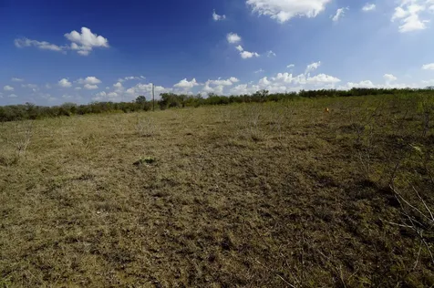 Lot 12 000 Cr 447 Waelder TX 78959