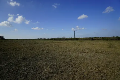 Lot 12 000 Cr 447 Waelder TX 78959