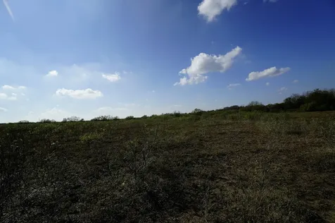 Lot 12 000 Cr 447 Waelder TX 78959