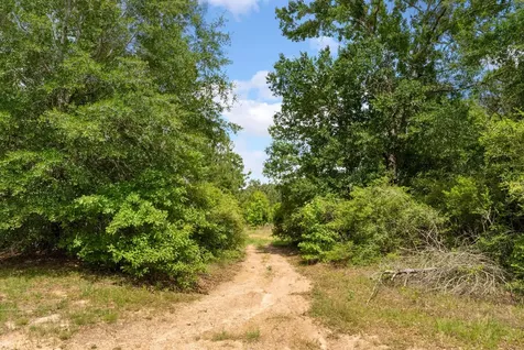 6919 Texas Trace Montgomery TX 77316