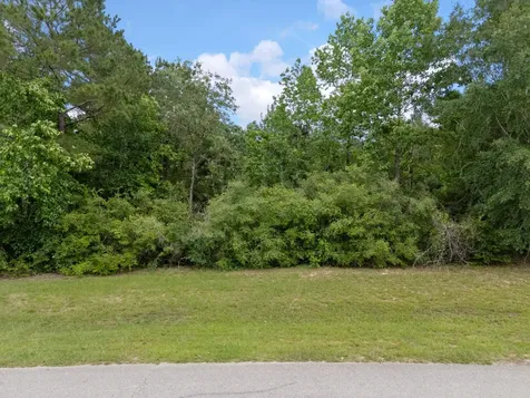 6919 Texas Trace Montgomery TX 77316