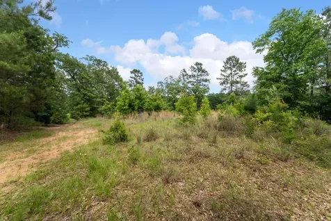 6919 Texas Trace Montgomery TX 77316