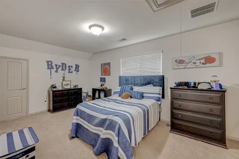 23203 Mirtillo Court Richmond TX 77406