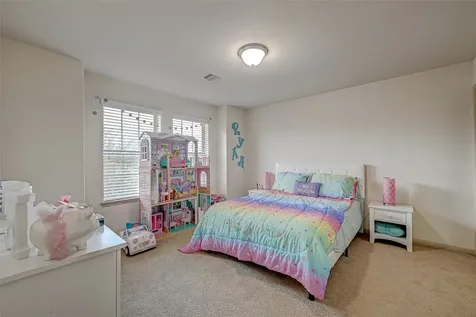 23203 Mirtillo Court Richmond TX 77406