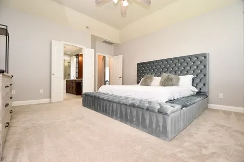 10307 Chapel Court Missouri City TX 77459