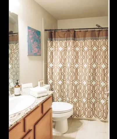 4300 Turnbridge Court Manvel TX 77578