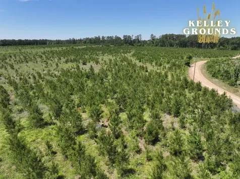 2-9 Kelley Road Livingston TX 77351