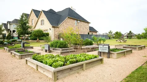 3214 Key Lime Drive Richmond TX 77406