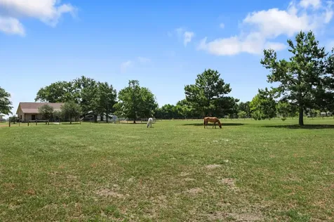 384 County Road 1875 Grapeland TX 75844