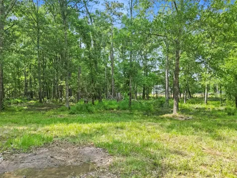 553 County Road 370 Splendora TX 77372