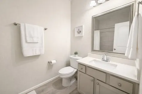 29118 Artic Brook Lane Fulshear TX 77441