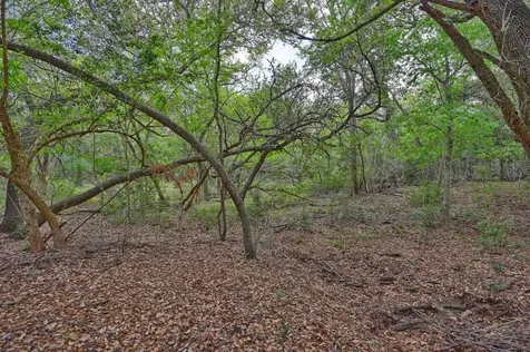 0000 Mcelroy Lane New Ulm TX 78950