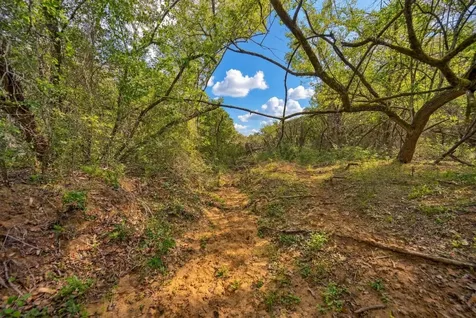 0000 Mcelroy Lane New Ulm TX 78950