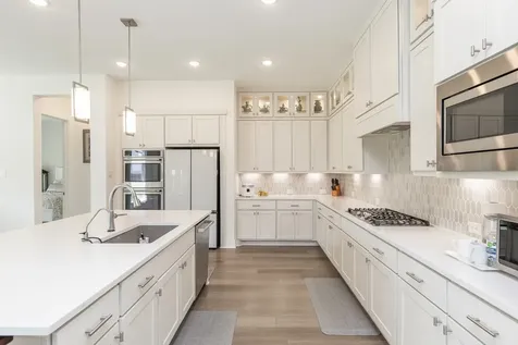 14206 Lollypine Pointe Drive Cypress TX 77433