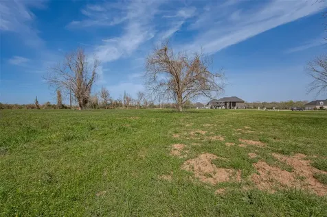 7804 Sweetbrook Circle Missouri City TX 77459