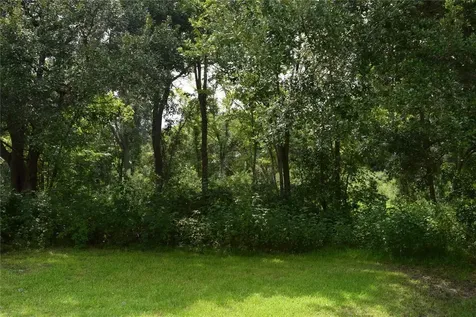00 Belcher Road - Cr 397 Road Manvel TX 77578