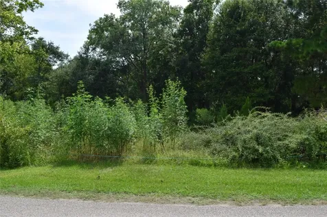 00 Belcher Road - Cr 397 Road Manvel TX 77578