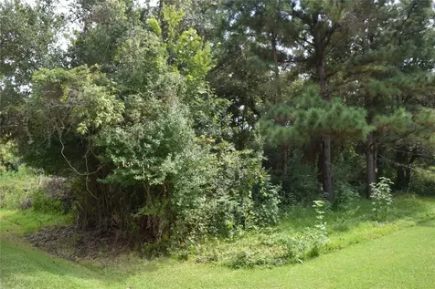 00 Belcher Road - Cr 397 Road Manvel TX 77578