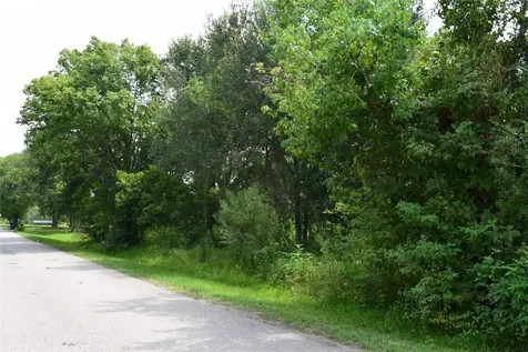 00 Belcher Road - Cr 397 Road Manvel TX 77578
