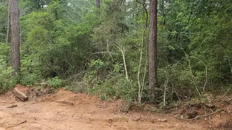 Lot 3 Scarlet Oak Drive Plantersville TX 77363