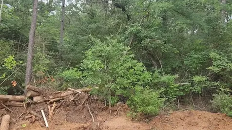 Lot 3 Scarlet Oak Drive Plantersville TX 77363