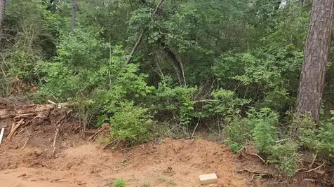Lot 3 Scarlet Oak Drive Plantersville TX 77363