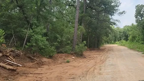 Lot 3 Scarlet Oak Drive Plantersville TX 77363