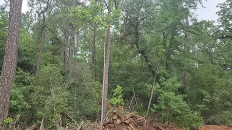 Lot 3 Scarlet Oak Drive Plantersville TX 77363
