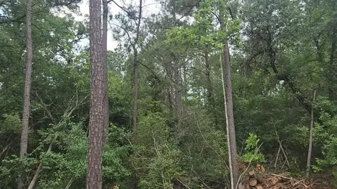 Lot 3 Scarlet Oak Drive Plantersville TX 77363