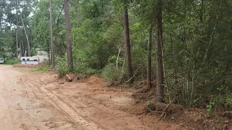 Lot 3 Scarlet Oak Drive Plantersville TX 77363