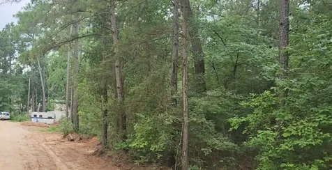 Lot 3 Scarlet Oak Drive Plantersville TX 77363