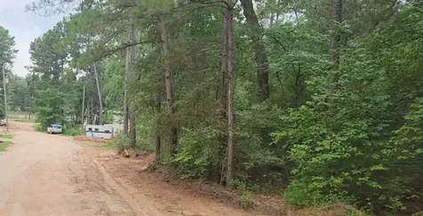 Lot 3 Scarlet Oak Drive Plantersville TX 77363