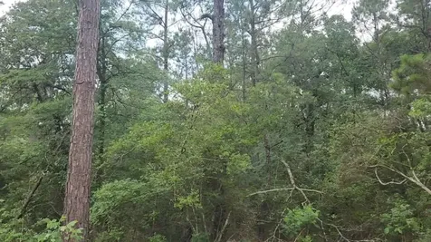 Lot 3 Scarlet Oak Drive Plantersville TX 77363