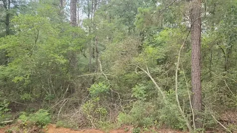 Lot 3 Scarlet Oak Drive Plantersville TX 77363
