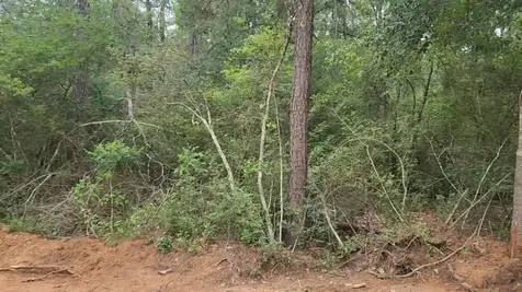 Lot 3 Scarlet Oak Drive Plantersville TX 77363