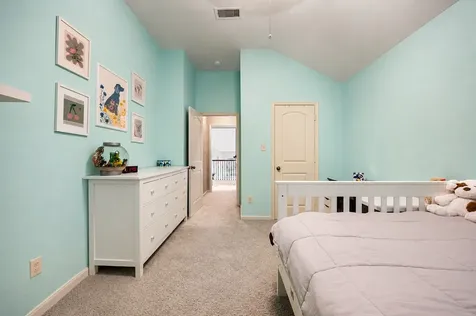 28014 Canyon Wren Drive Katy TX 77494