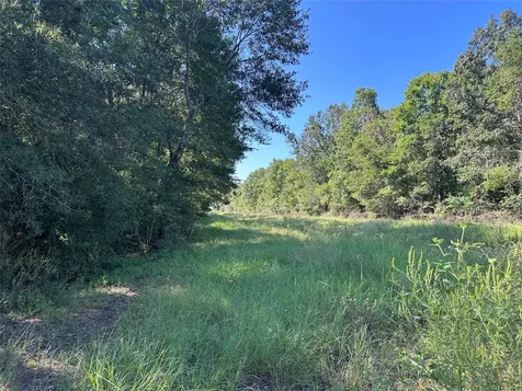 Mcguire Road Liberty TX 77575