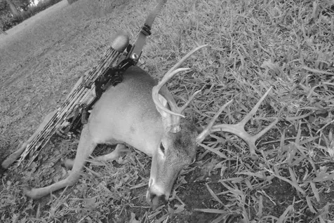 Tbd County Road 482 Gonzales TX 78629