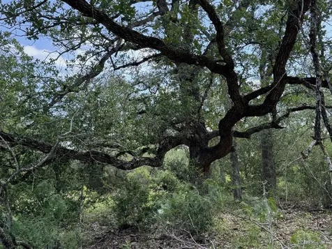 Tbd County Road 482 Gonzales TX 78629
