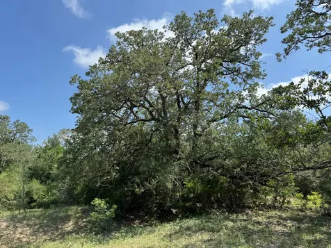 Tbd County Road 482 Gonzales TX 78629