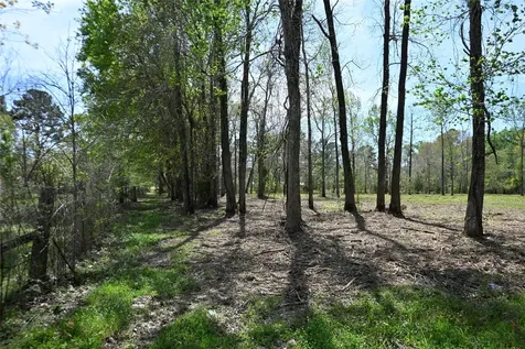 Lot 6 County Road 2360 Hardin TX 77575
