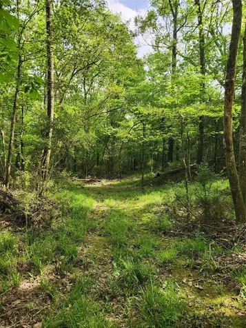 Tbd Ward Road Cleveland TX 77328